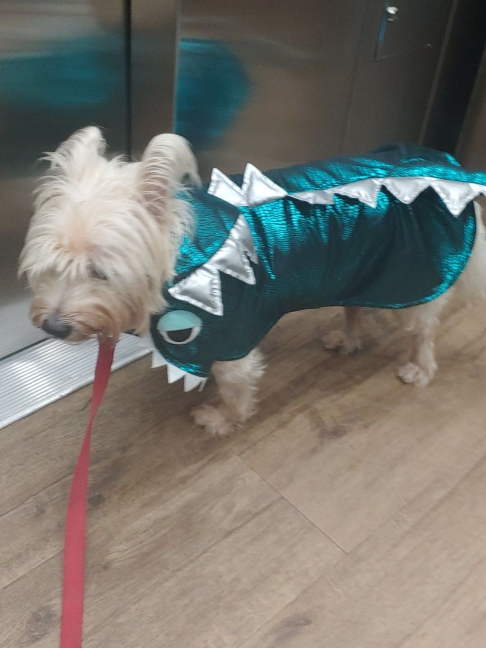 Teal Metallic Dinosaur Dog Costume Monster Costume Halloween